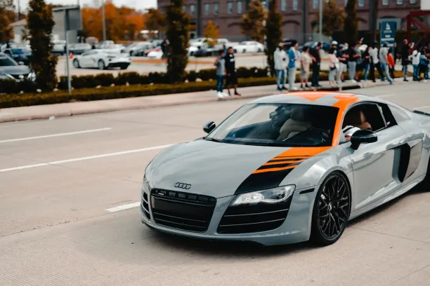 Casino Cashi Mashi Application Android/iOS